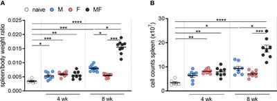 Sex-Specific Modulation of the Host Transcriptome in the Spleen of Schistosoma mansoni-Infected Mice